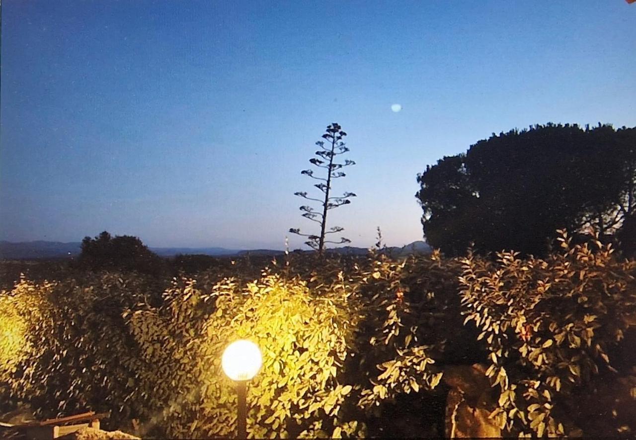 Rifugio Monte Pino Villa Telti Luaran gambar