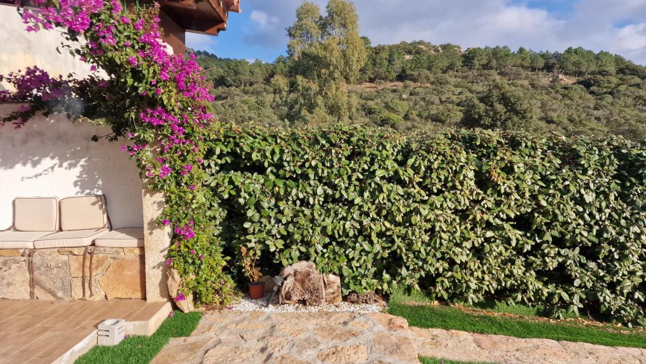 Rifugio Monte Pino Villa Telti Luaran gambar